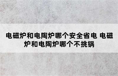 电磁炉和电陶炉哪个安全省电 电磁炉和电陶炉哪个不挑锅